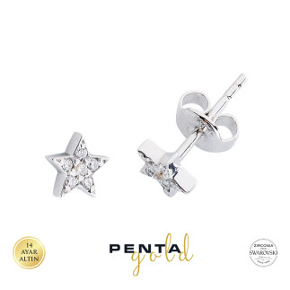 Penta Gold - 14 Ayar Swarovski Taşlı Yıldız Altın Küpe (1)